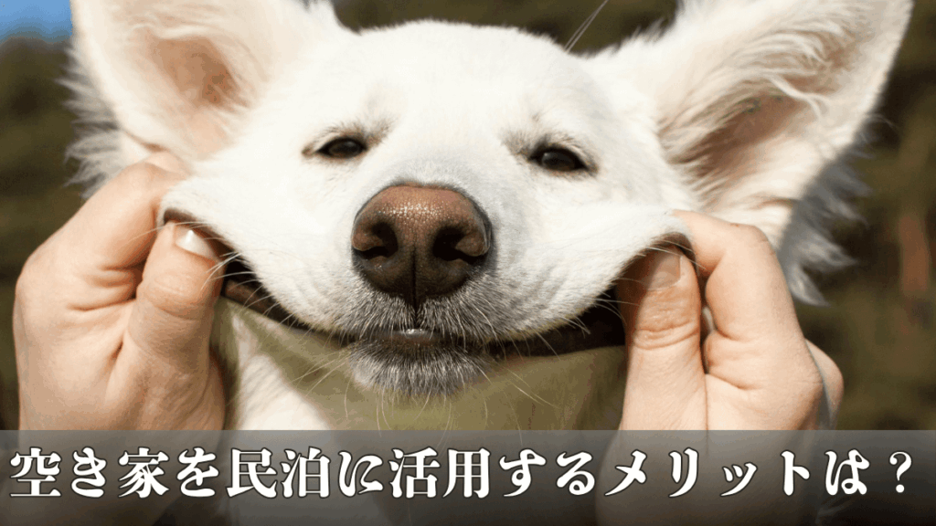 空き家を民泊に活用するメリットとは?